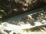 image of grave number 611540